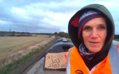 Grandmother Found Guilty for Halting Drax Train